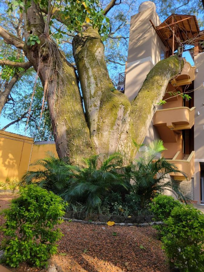 Real Guanacaste Aparthotel San Pedro Sula Bagian luar foto